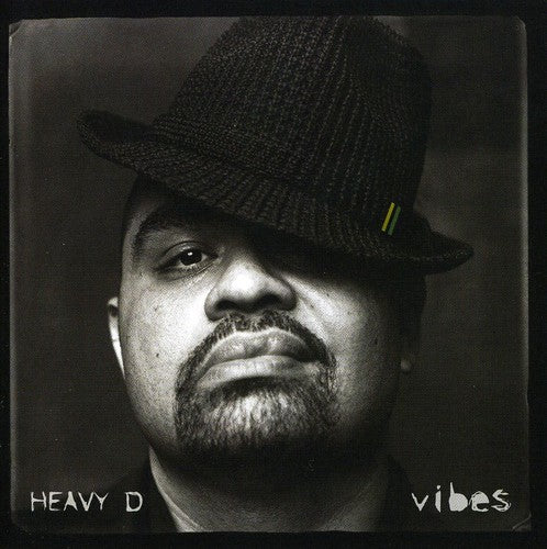 Heavy D: Vibes