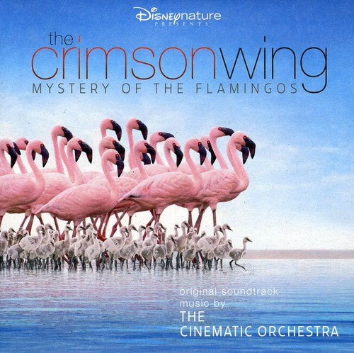 Cinematic Orchestra: The Crimson Wing: Mystery Of The Flamingos