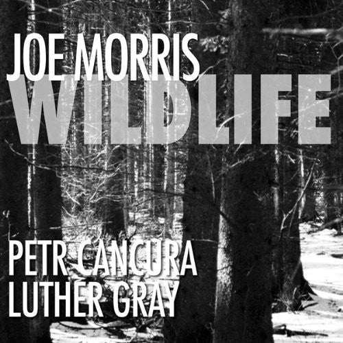 Morris, Joe: Wildlife