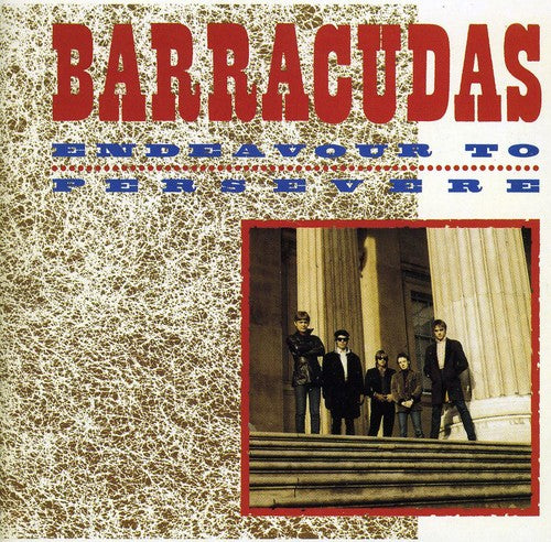 Barracudas: Endeavour to Persevere