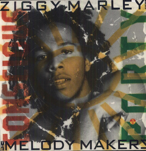 Marley, Ziggy: Conscious Party