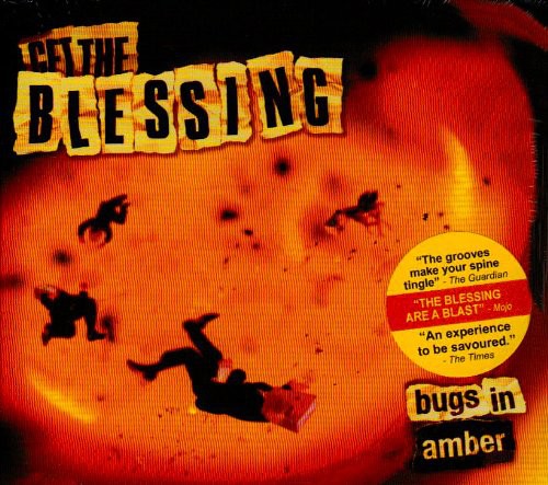 Get the Blessing: Bugs in Amber