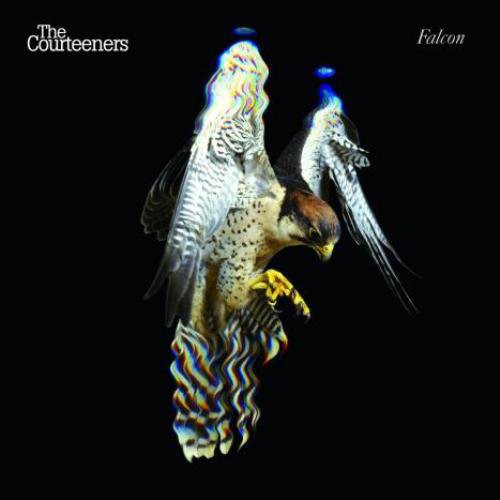 Courteeners: Falcon