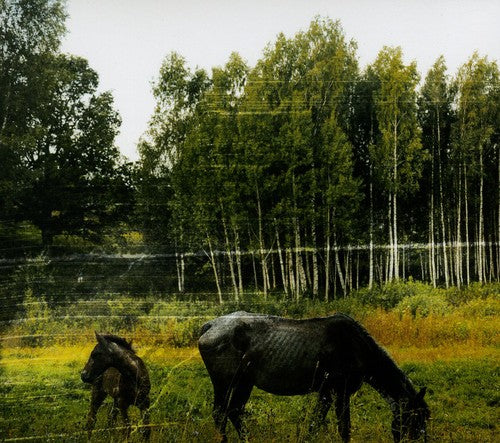 Pianos Become the Teeth: Old Pride