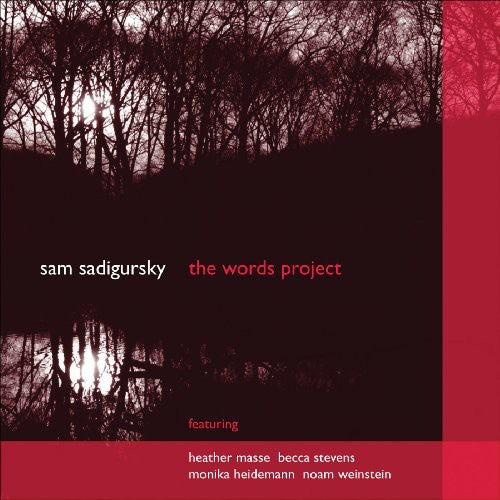 Sadigursky / Masse / Heidemann / Stevens / Rende: Words Project 1