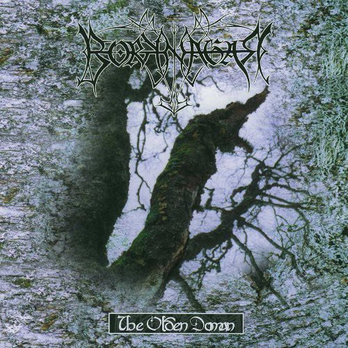 Borknagar: The Olden Domain