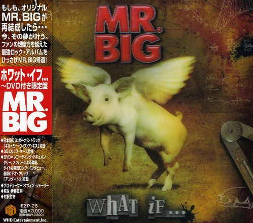 Mr Big: What If