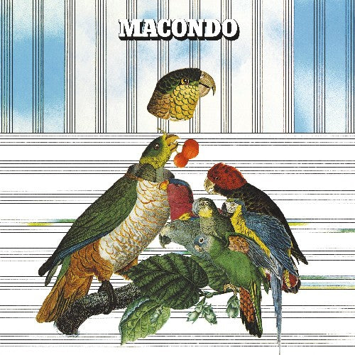 Macondo: MacOndo