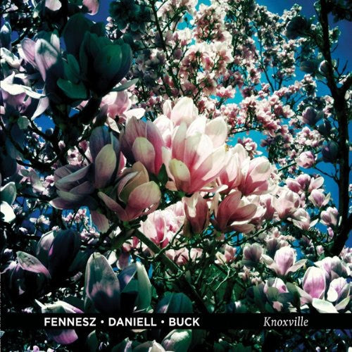 Fennesz / Daniell / Buck: Knoxville [MP3]