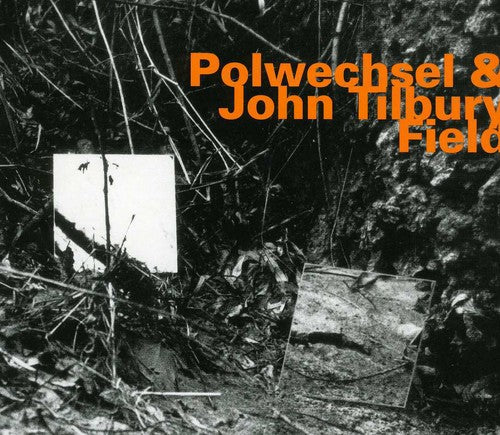 Polwechsel & John Tilbury: Field