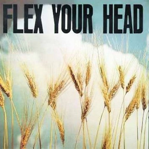 Flex Your Head / Various: Flex Your Head