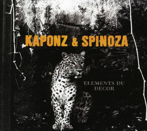 Kaponz Et Spinoza: Elements Du Decor