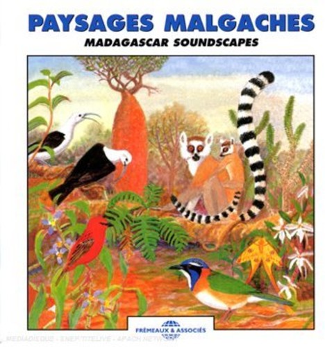 Roche / Sounds of Nature: Madagascar Soundscapes