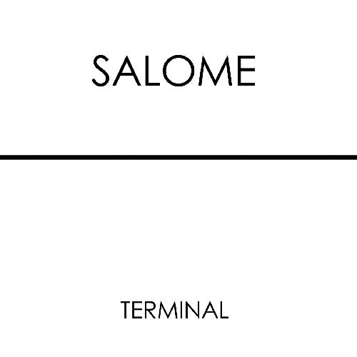 Salome: Terminal