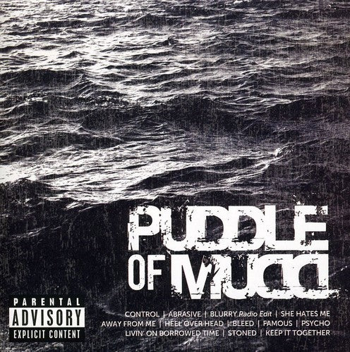 Puddle of Mudd: Icon