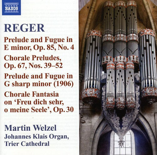 Reger / Welzel: Reger 10: Organ Works