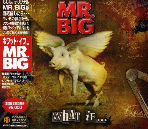 Mr Big: What If