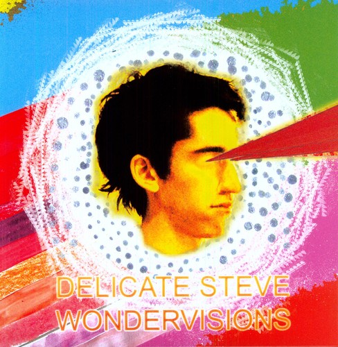 Delicate Steve: Wondervisions