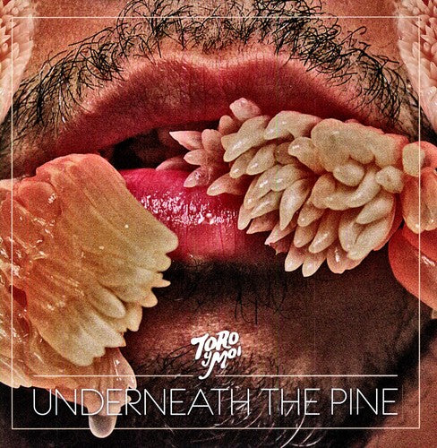 Toro y Moi: Underneath the Pine