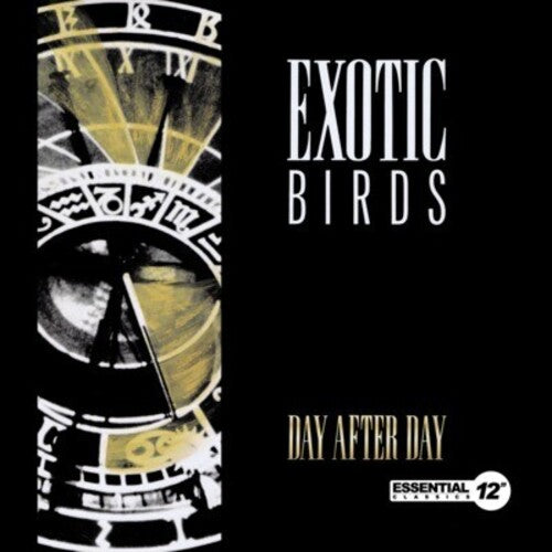 Exotic Birds: Day After Day