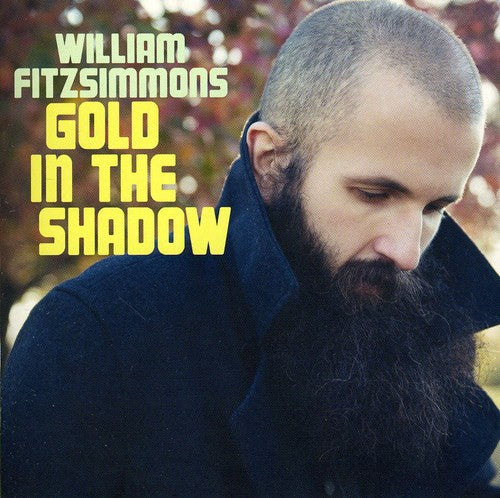 Fitzsimmons, William: Gold in the Shadow