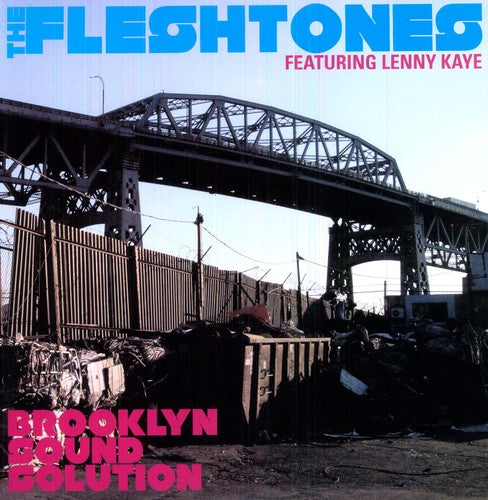Fleshtones: Brooklyn Sound Solution