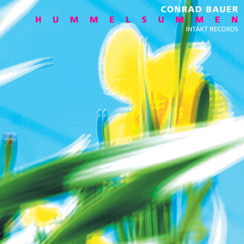 Bauer, Conrad: Hummelsummen