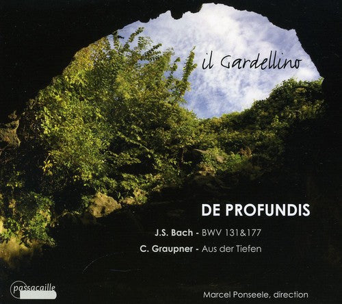 Bach, J.S. / Il Gardellino: De Profundis