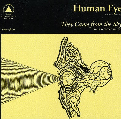 Human Eye: They Came from the Sky