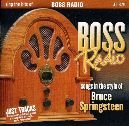 Karaoke: Bruce Springsteen Sing the / Various: Karaoke: Bruce Springsteen Sing the / Various