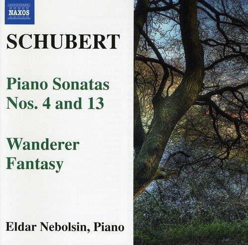 Schubert / Nebolsin, Eldar: Piano Sonatas / Wanderer Fantasy