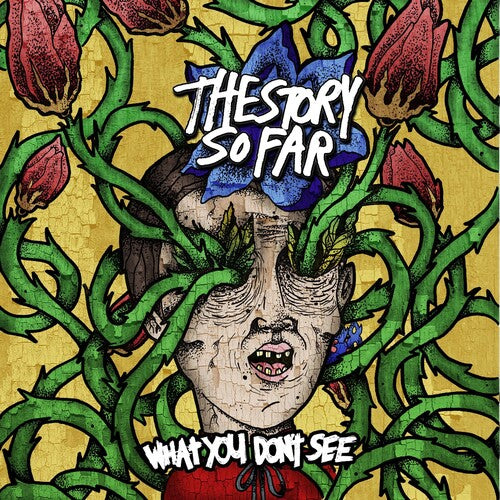 Story So Far: What You Don't See