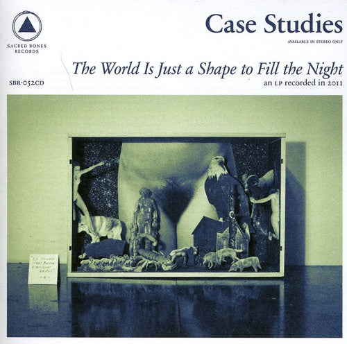 Case Studies: The World Is Just A Shape To Fill The Night