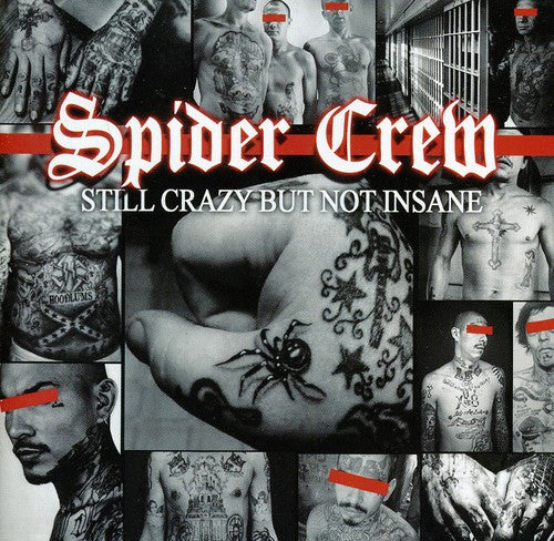 Spider Crew: Still Crazy But Not