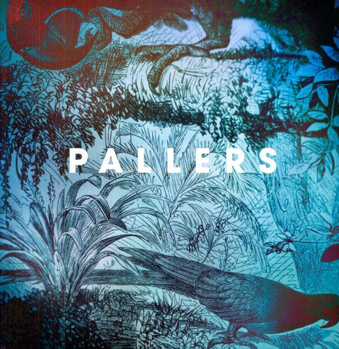 Pallers: The Sea Of Memories