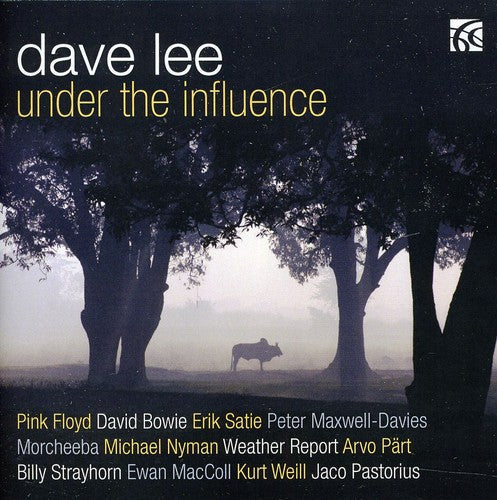 Lee, David / Maccoll / Nyman / Satie: Under the Influence