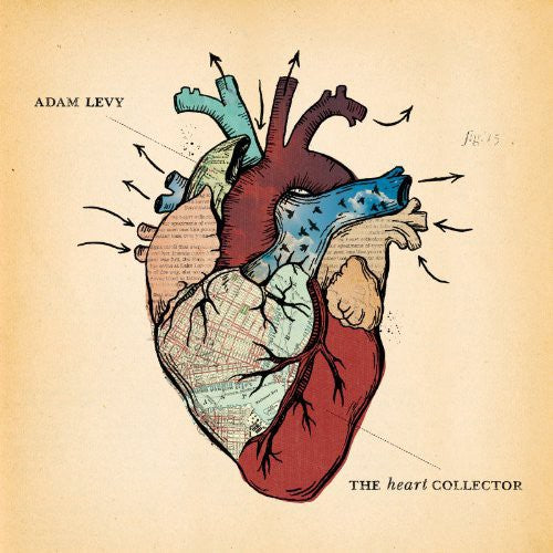 Levy, Adam: The Heart Collector