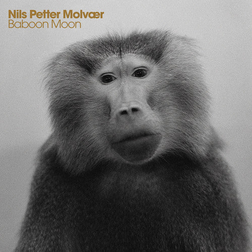 Molvaer, Nils Petter: Baboon Moon