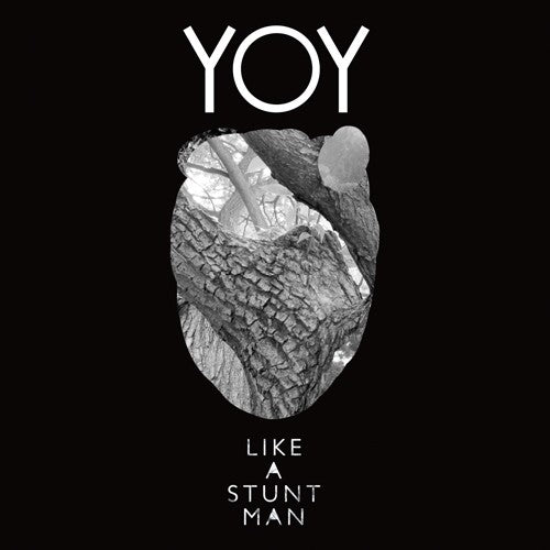 Like a Stuntman: Yoy