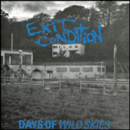 Exit Condition: Days of Wild Skies