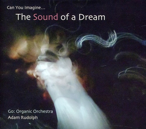 Rudolph, Adam: Go: Organic Orchestra - Can You Imagine The Sound Of A Dream