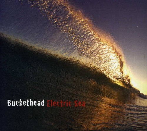 Buckethead: Electric Sea