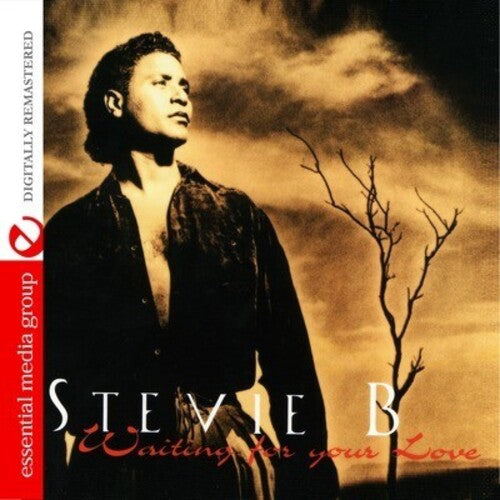 Stevie B: Waiting for Your Love