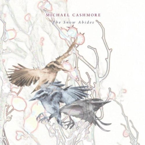 Cashmore, Michael: The Snow Abides