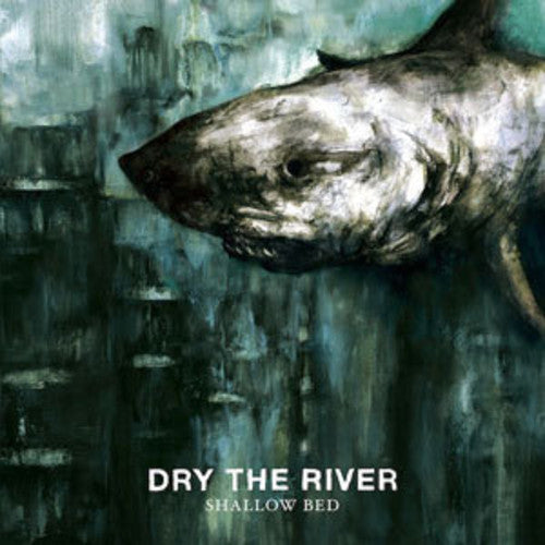 Dry the River: Shallow Bed