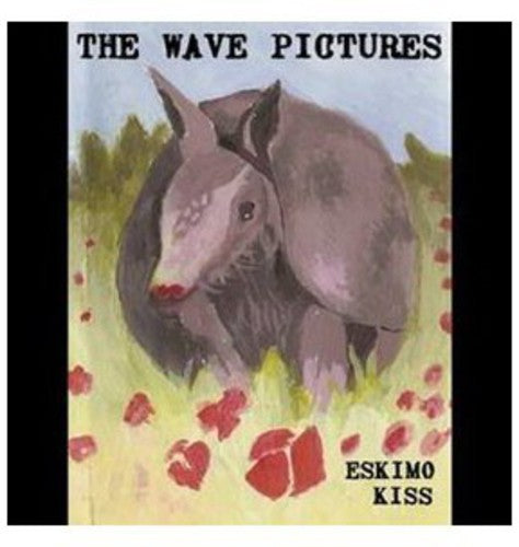 Wave Pictures: Eskimokiss