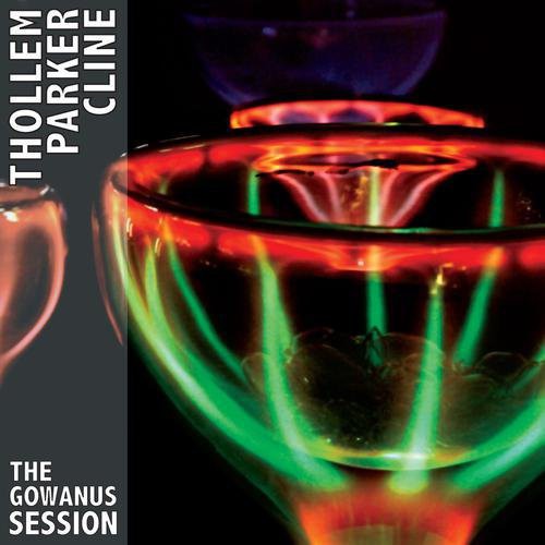 Thollem / Parker / Cline: The Gowanus Session