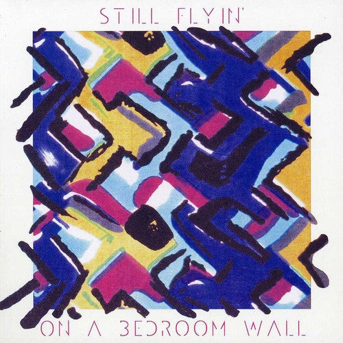 Still Flyin: On a Bedroom Wall