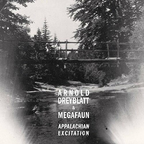 Dreyblatt, Arnold & Megafaun: Appalachian Excitation