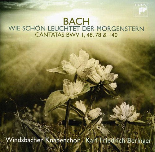 Windsbacher Knabenchor: Bach J.S: Cantatas